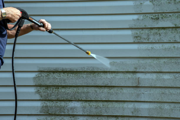 Best Sidewalk and Walkway Cleaning  in Burkesville, KY