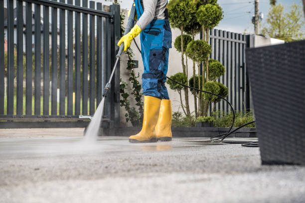 Best Roof Washing  in Burkesville, KY